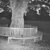 Album A New Place 2 Drown