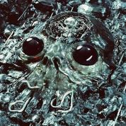 Album Alien Metal
