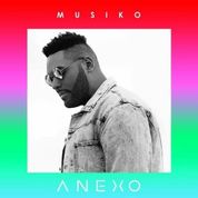 Album Anexo