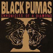 Album Chronicles of a Diamond