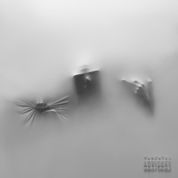 Imagen del álbum COCOON de Yeat
