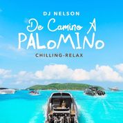 Album De Camino A Palomino, Vol. 1