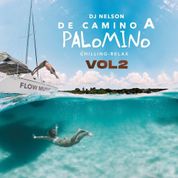 Album De Camino a Palomino, Vol. 2