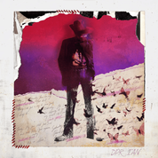 Album Dear Insanity...
