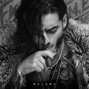 Album F.A.M.E.