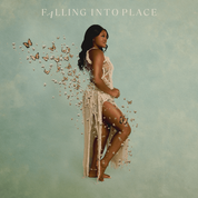 Album Falling Into Place