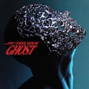 Album Feel Your Ghost