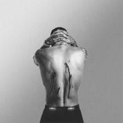 Album Ferite