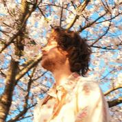 Album Fruit from the Trees