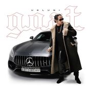 Album g.o.a.t. uslugi
