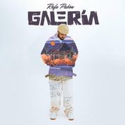 Album Galer&iacute;a