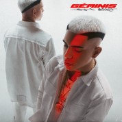 Album G&eacute;minis