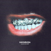 Album HAYABUSA