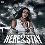 Album Here 2 Stay