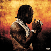 Album I Aint Feeling You
