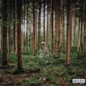 Album I Love You, I&rsquo;m Trying