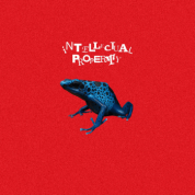 Album INTELLECTUAL PROPERTY