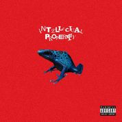 Album INTELLECTUAL PROPERTY