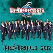 Album Irreversible ... 2012