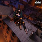 Album L&Aacute;GRIMAS DE UN G