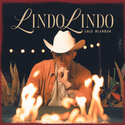 Album Lindo Lindo