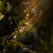 Album Lucid