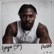 Album Lungu Boy