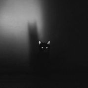 Album MELODRAMATIC