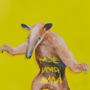 Album МОЕ ИМЯ ЛИДА (MY NAME IS LIDA)