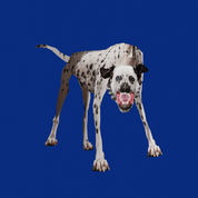 Imagen del álbum mosca de Nsqk