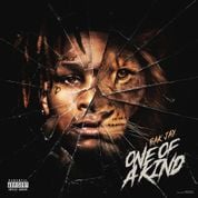 Album One Of A Kind