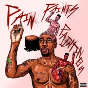 Album Pain Paints Paintings