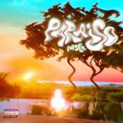 Album Para&iacute;so