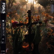 Album Part 2 Everything Not Saved Will Be Lost