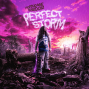 Album Perfect Storm