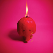 Album Pink Elephant
