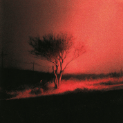 Album Piss In The Wind
