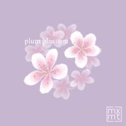 Album plum blossom