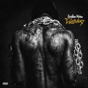 Album Recovery