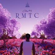 Album Rom&acirc;ntico, Pt. 1