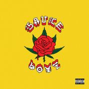 Album Sauce Boyz
