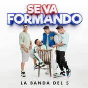 Album Se Va Formando