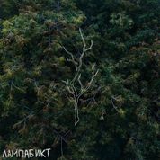 Album Синонимы к слову любовь (Synonyms for the word love)