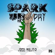 Album Spark Up Pri