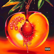 Album SPINGERE SEMPRE