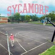 Album SYCAMORE