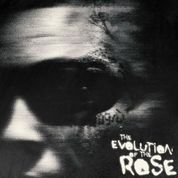 Album The Evolution of the Rose
