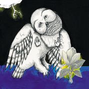 Album The Magnolia Electric Co.