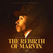 Album The Rebirth of Marvin