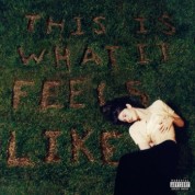 Album This Is What It Feels Like